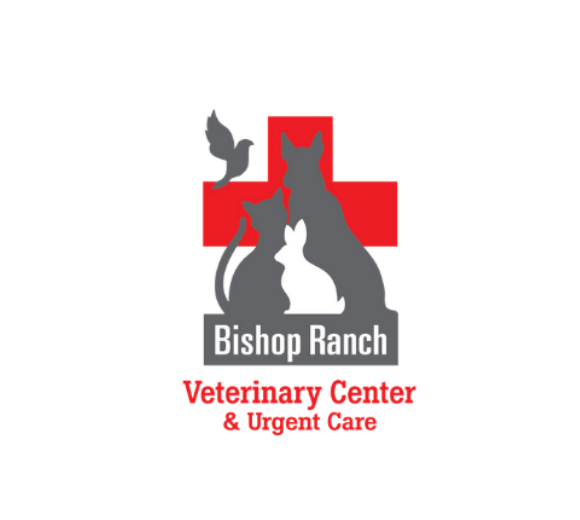 <p>Explains that water fountains have been recommended to increase water intake and summarizes research comparing bowl vs. fountain water sources.</p>