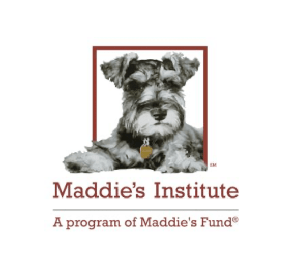 <p>Explains that water fountains have been recommended to increase water intake and summarizes research comparing bowl vs. fountain water sources.</p>